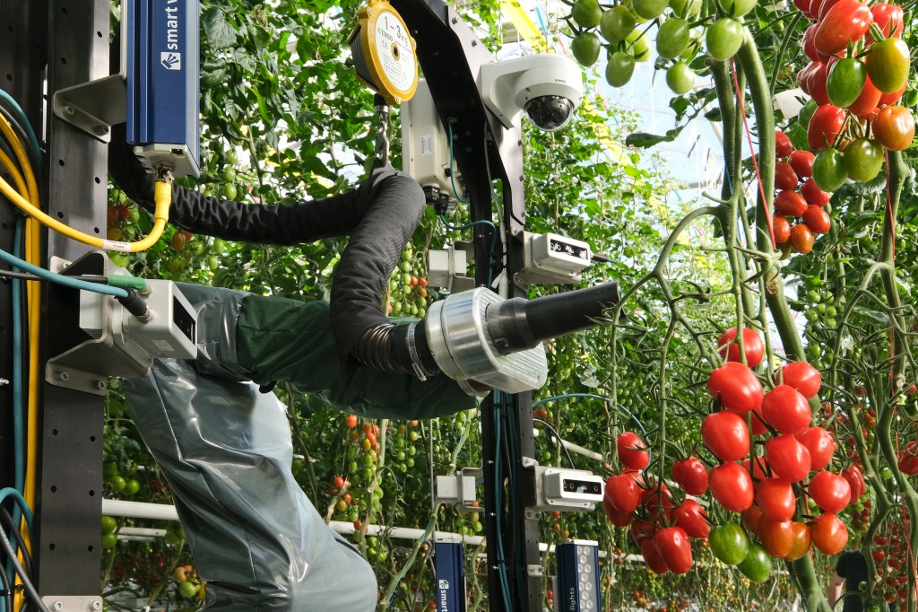 En un mundo donde la tecnología avanza a pasos agigantados, la agricultura no se queda atrás. Actualmente, una de las