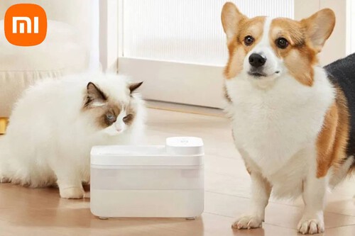 100 días de batería y 15 días sin tener que rellenarlo, mi gato y yo queremos el nuevo bebedero Xiaomi para mascotas