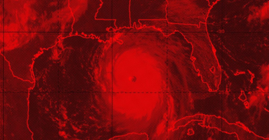 Ingeniero de Elon Musk Colabora con NOAA: Futuro Prometedor El mundo de la tecnología recibe una inesperada